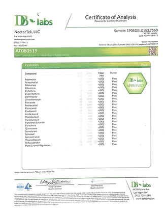 Enzyme Exfoliating Scrub with CBD & MHCsc™ Technology