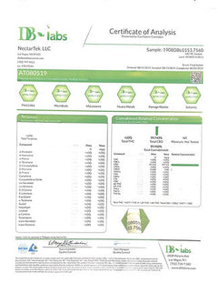 Enzyme Exfoliating Scrub with CBD & MHCsc™ Technology